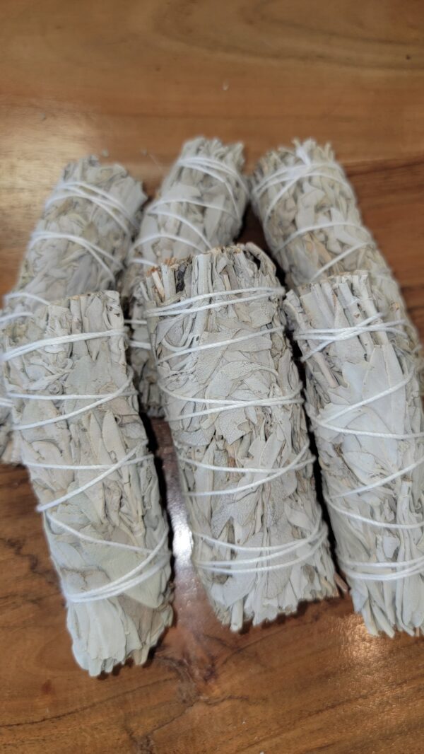 White sage smudge sticks bundled