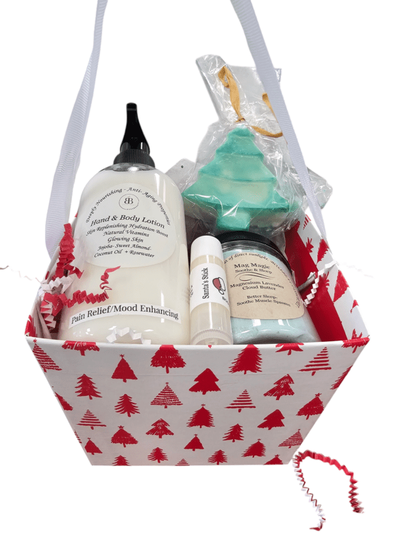 Christmas bath and body gift basket.